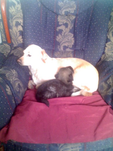 durmiendo con kiara